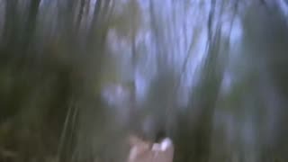 8k songs 60fps Nelloori nerajana (Telugu) full resolution Oke okkadu Arjun manisha