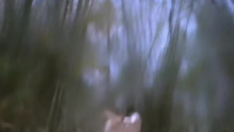 8k songs 60fps Nelloori nerajana (Telugu) full resolution Oke okkadu Arjun manisha