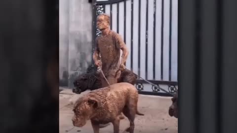 Havin' Fun With The Mutts