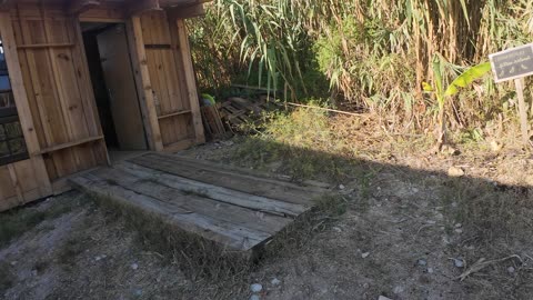 As Terças na Horta Experimental, Margem Sul Agrofloresta 9th of Sept 2k25 Pt 4
