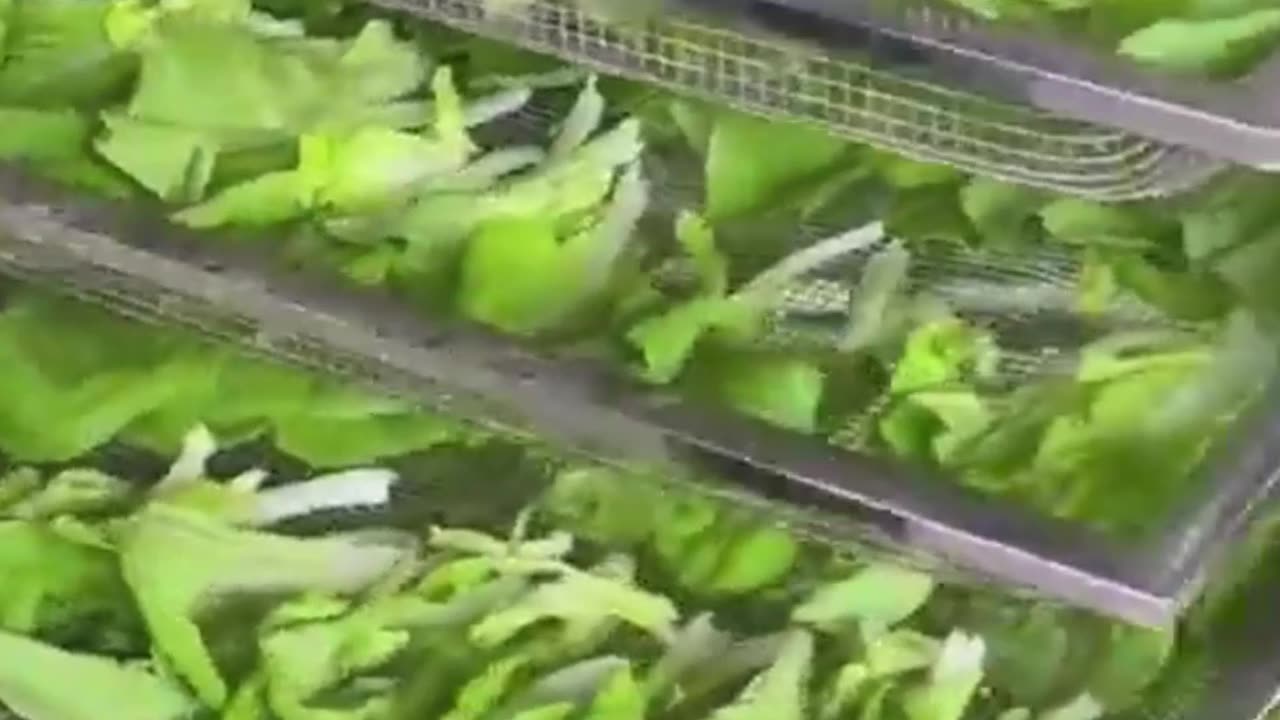 The food drying box