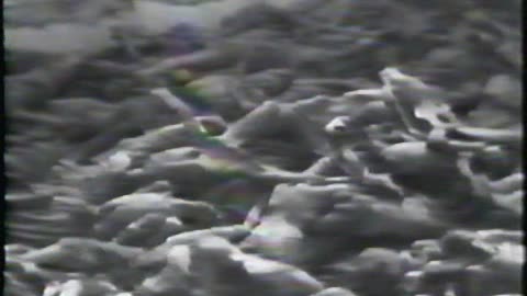 Premature Ejaculation - Not The Real Criminal (1989)