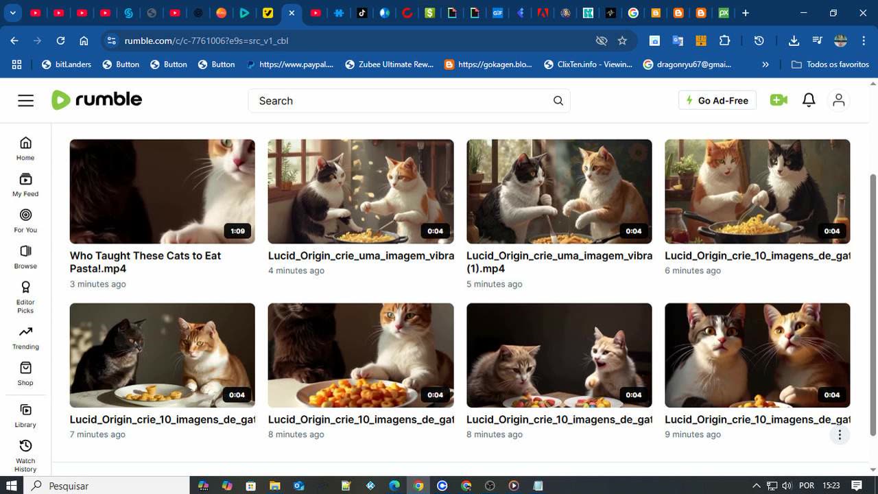 CRIANDO CANAL DE GATOS 2