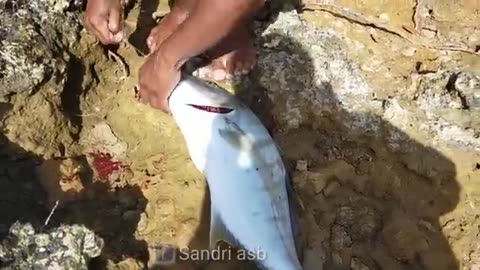 ARE YOU SURE?! Fishing for Giant Fish in a Place This Terrifying 😱