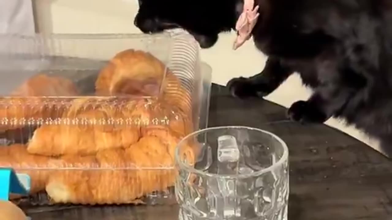 “His greed sickens me” constantly plays in my head