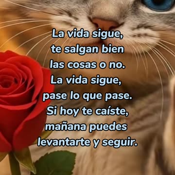 REFLEXIÓN ✨️ ✨️ ✨️