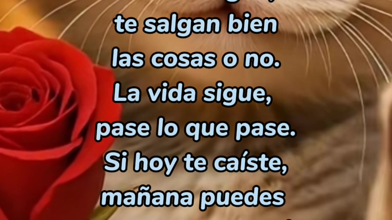 REFLEXIÓN ✨️ ✨️ ✨️