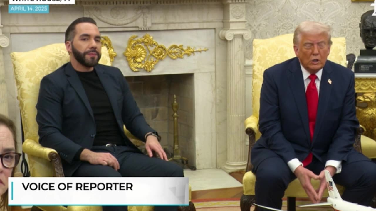 Raw: Top US Ally Flips to Xi? Trump Stuns With 'China, Vietnam Discussing How to Hurt...' | Tariff