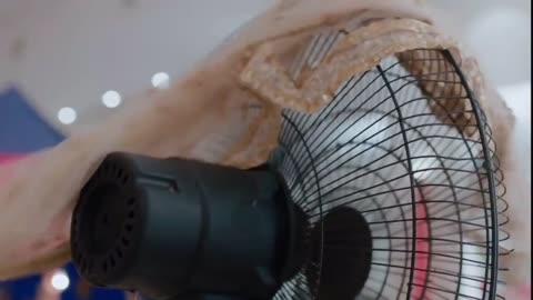 🤯😂 So Dramatic! You Won't Believe the Over-the-Top Reaction | FunFM