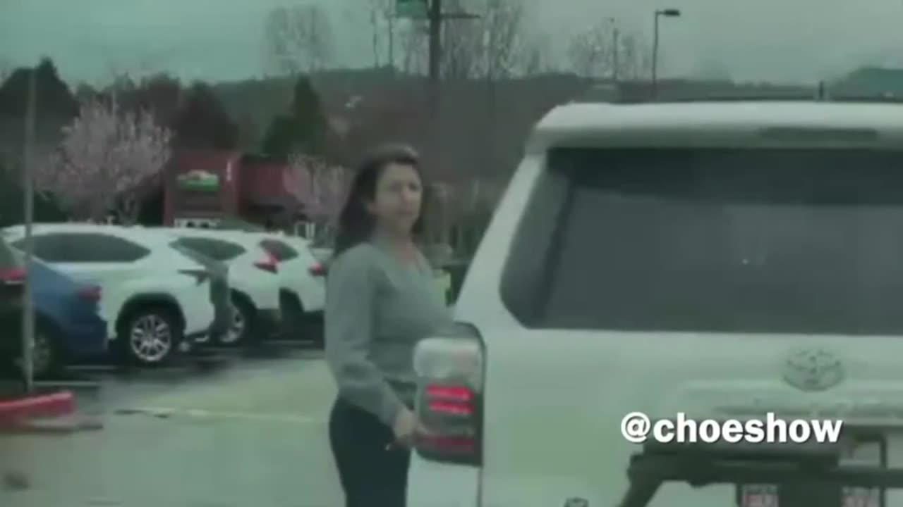 Millionaire Kamelia Enzler(55) keys a Tesla in Washington! [She was arrested.]