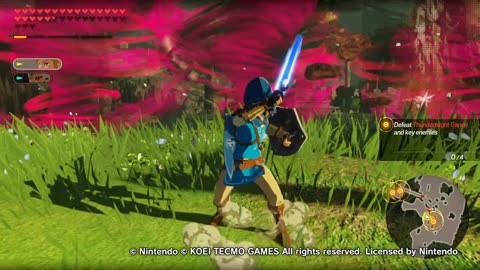 Hyrule Warriors Age Of Calmity Guerreros De Hyrule La Era De Calamidad Remnants Of The Calamity