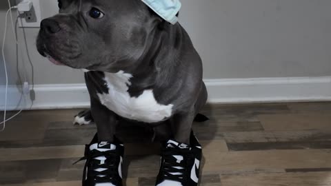 He was out and about in the streets with his low dunk and a hat