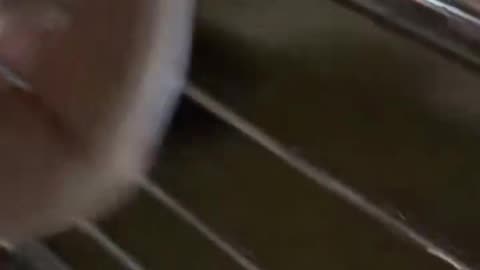 ▪️ ผมยังไม่ได้กินข้าวเลยครับ... - ท่านเปา