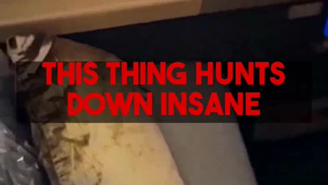 Pro Tips: Score Business Class & 5-Star Hotels with Mighty Travels Premium.