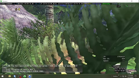 Playing Final Fantasy XI Online