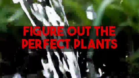 Analyzing the Impact of AI on Garden Design and Plant Care