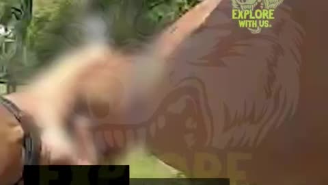 Dog Bites Man, Then Turns on Polic e...