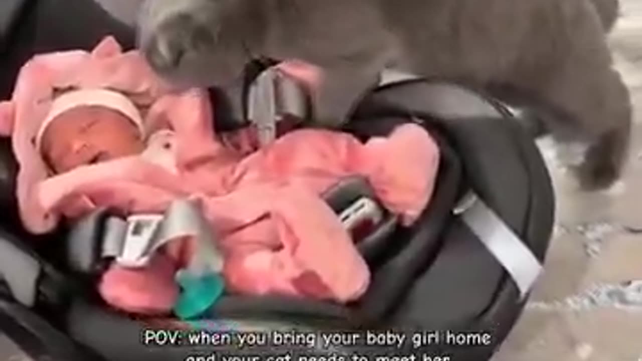 example of the purest form of love