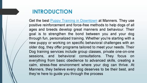 Get the best Puppy Training in Downtown