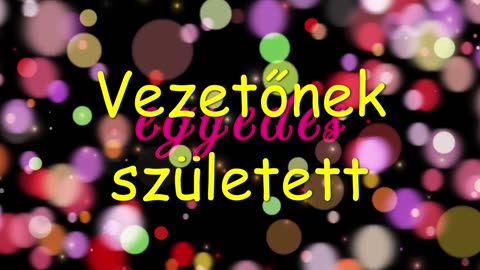 Egyedes ¦ Vezetőnek született (dalszöveges audió)