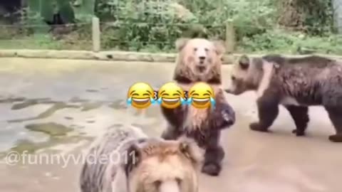 Best and new funny videos scenes