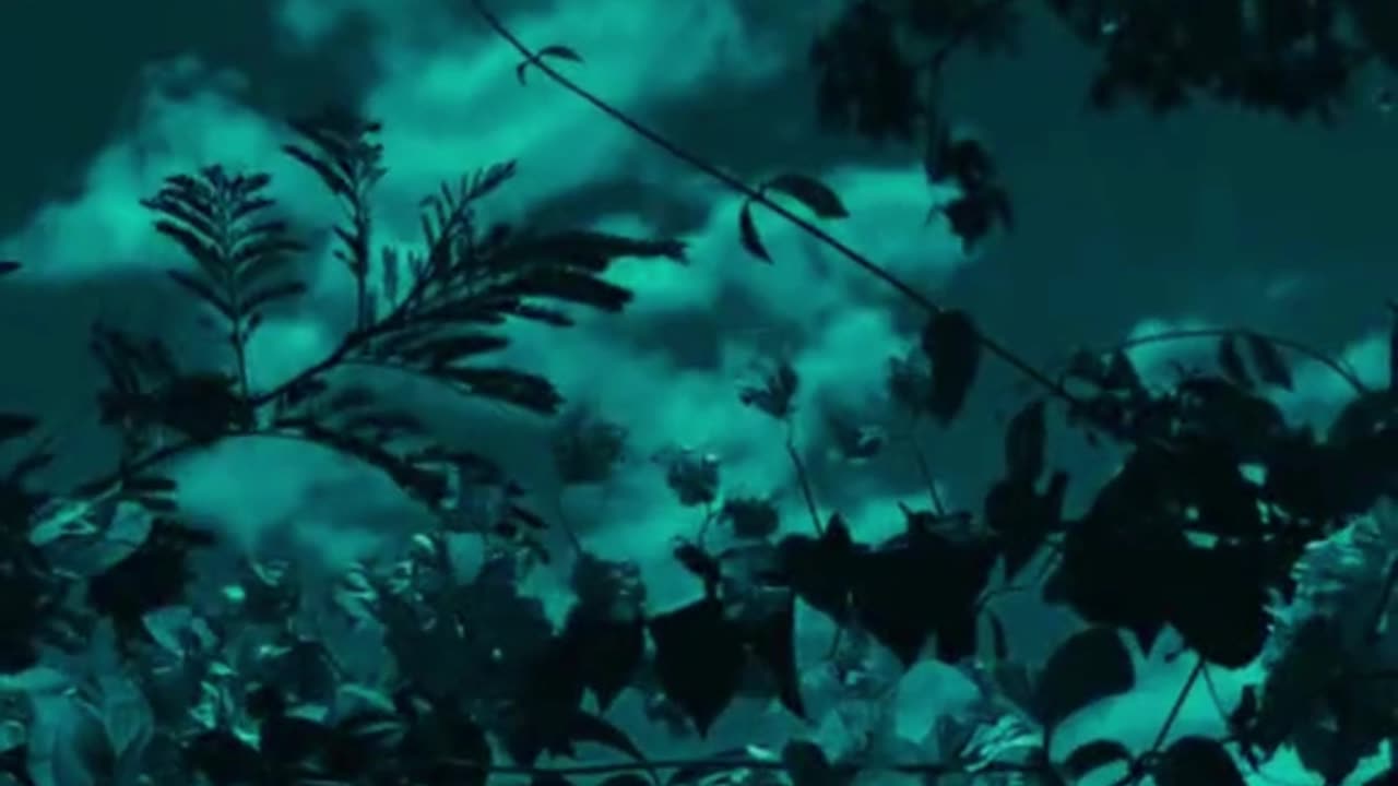 Dilo ko fata karne k liya muhubat chaiya