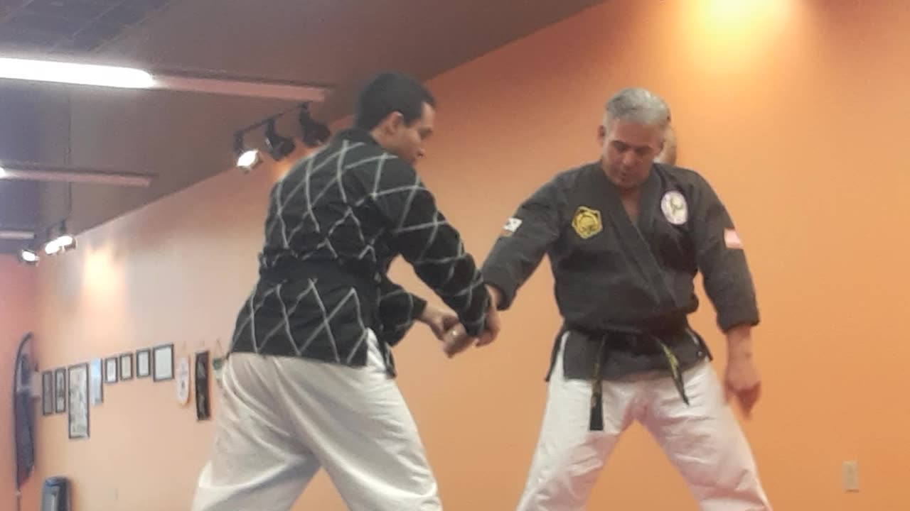 Tong Hap Kwan Hoshinsul/Hapkido