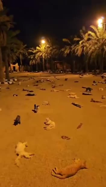 Taking over the neighborhood