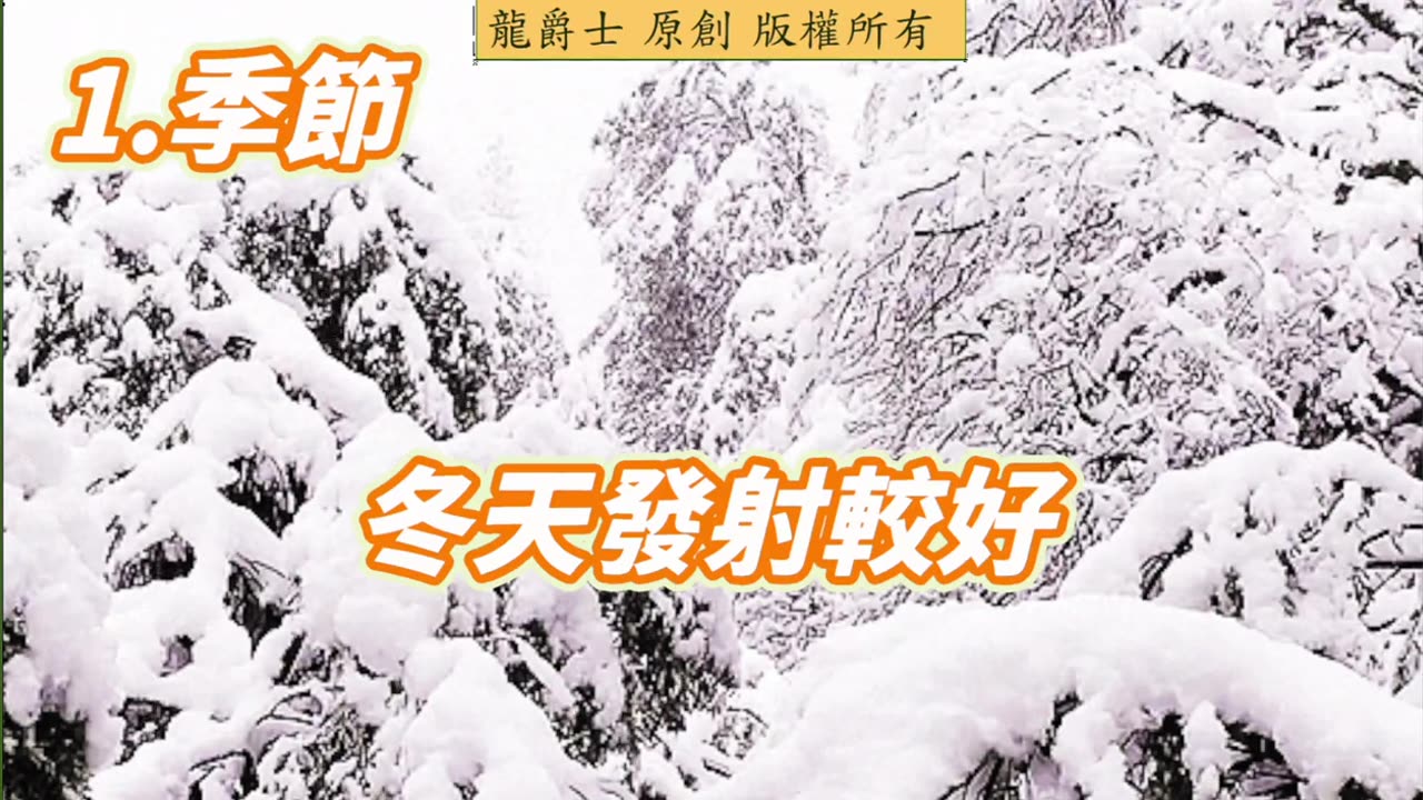 【龍爵士】千問千答 Q232 紅龍沒有紅有方法讓牠紅一點嗎