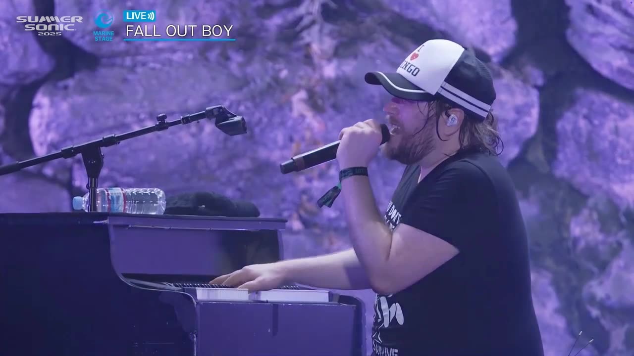 Fall Out Boy Summer Sonic (reuploaded read description)