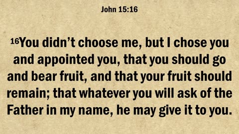 John 15