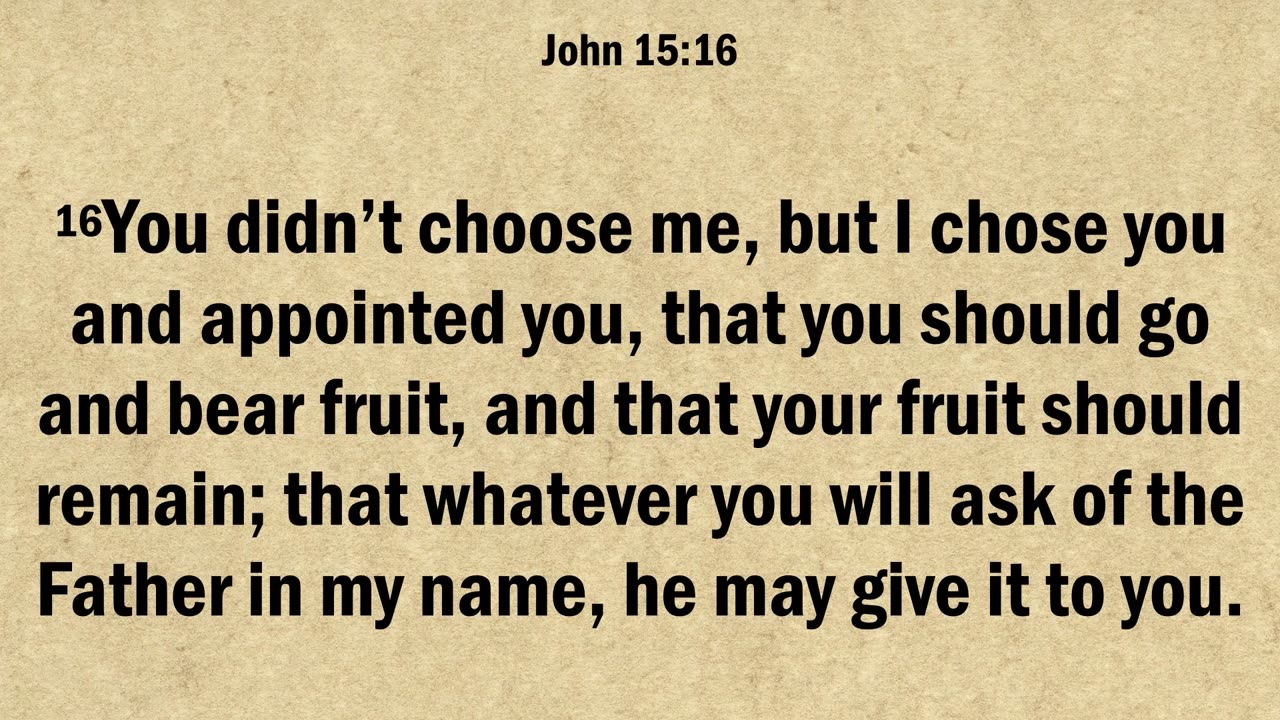 John 15