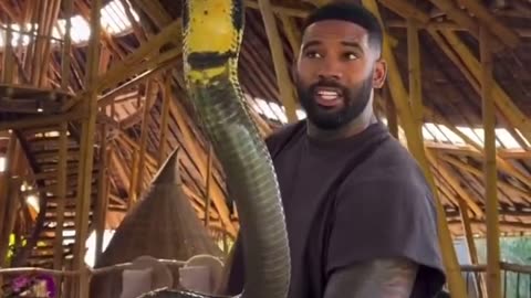1:28 seconds of indisputable proof that Black people are NOT a monolith …