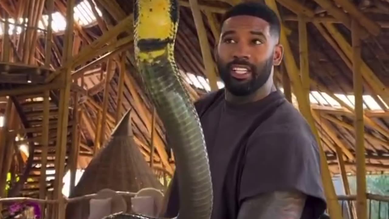 1:28 seconds of indisputable proof that Black people are NOT a monolith …
