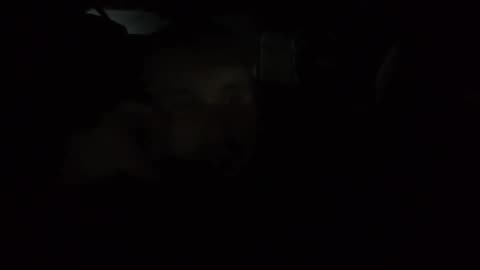 Avoiding Audience Capture As A Content Creator