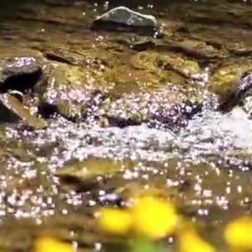 THE GENTLE WHISPER OF AMBIENT MUSIC CREATING A BREATHTAKING SYMPHONY OF NATURE