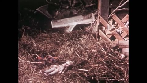 The House In The Middle (1954)