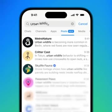 Busca de Posts Público no Telegram