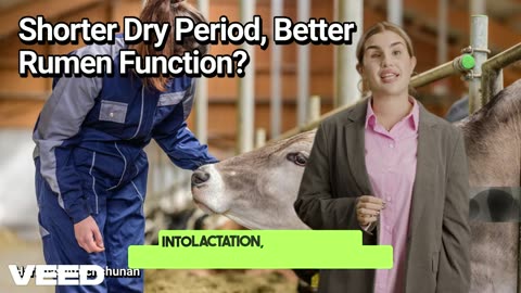 Shorter Dry Period,Better Rumen Function:Unlocking the Hidden Power of Dairy Cow Nutrition