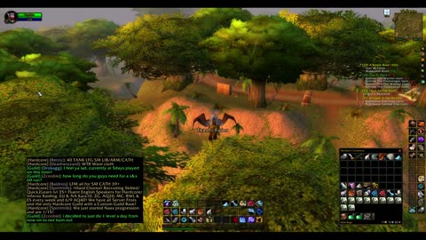 Turtle wow - Melee HC Slow and Steady Hunter - Part 48 - No commentary