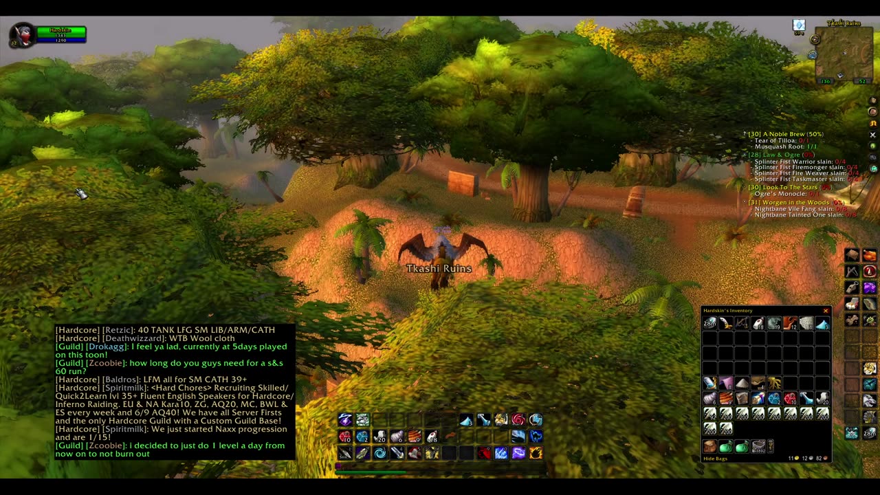 Turtle wow - Melee HC Slow and Steady Hunter - Part 48 - No commentary