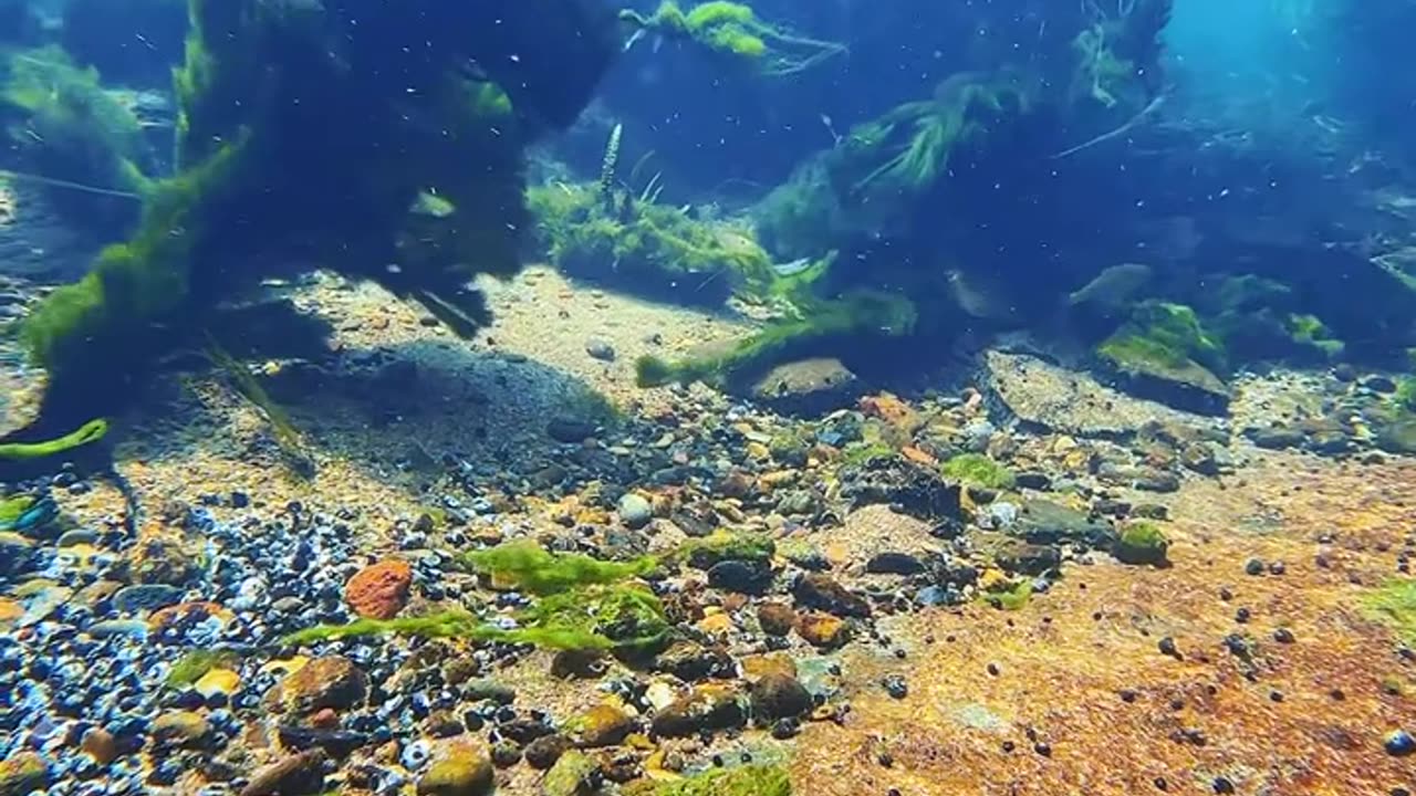 Iphone camera test satisfaction video
