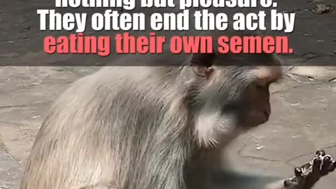 😂🏫 The Most Epic Life Lesson for Every Man! | FunFM