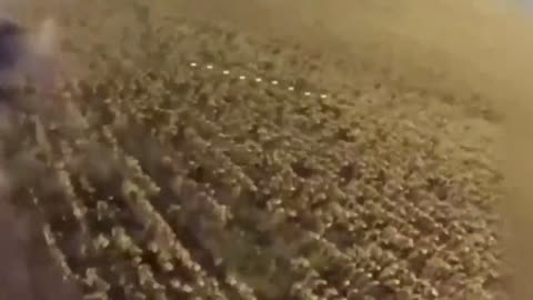 🛸💥 Ukraine Russia War | Ukrainian Drone Intercepts Russian Molnya-2, Hits Transport in Kramat… | RCF
