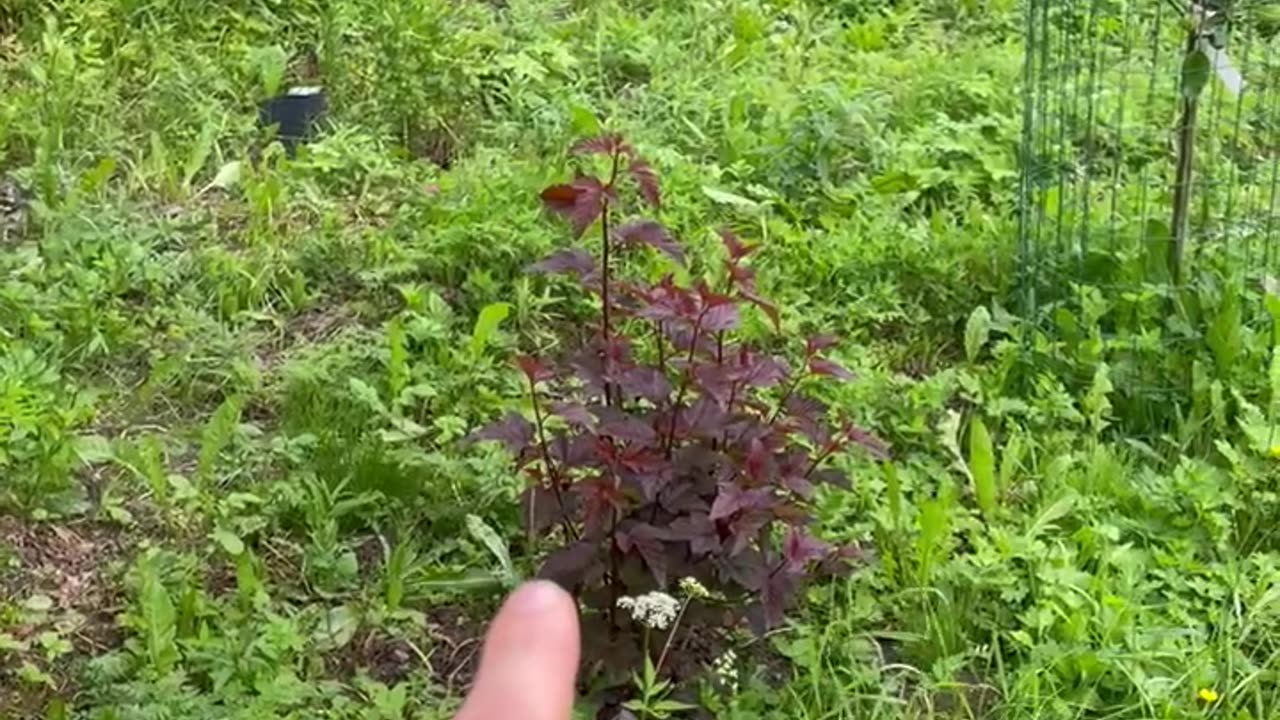 Planning One Area In The Garden
