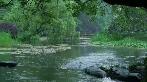 The beautiful little river is raining