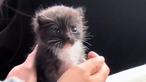 So tiny