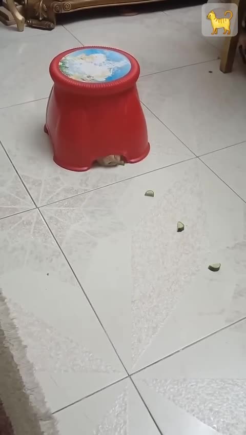 Where the robot vacuum cleaner idea originated