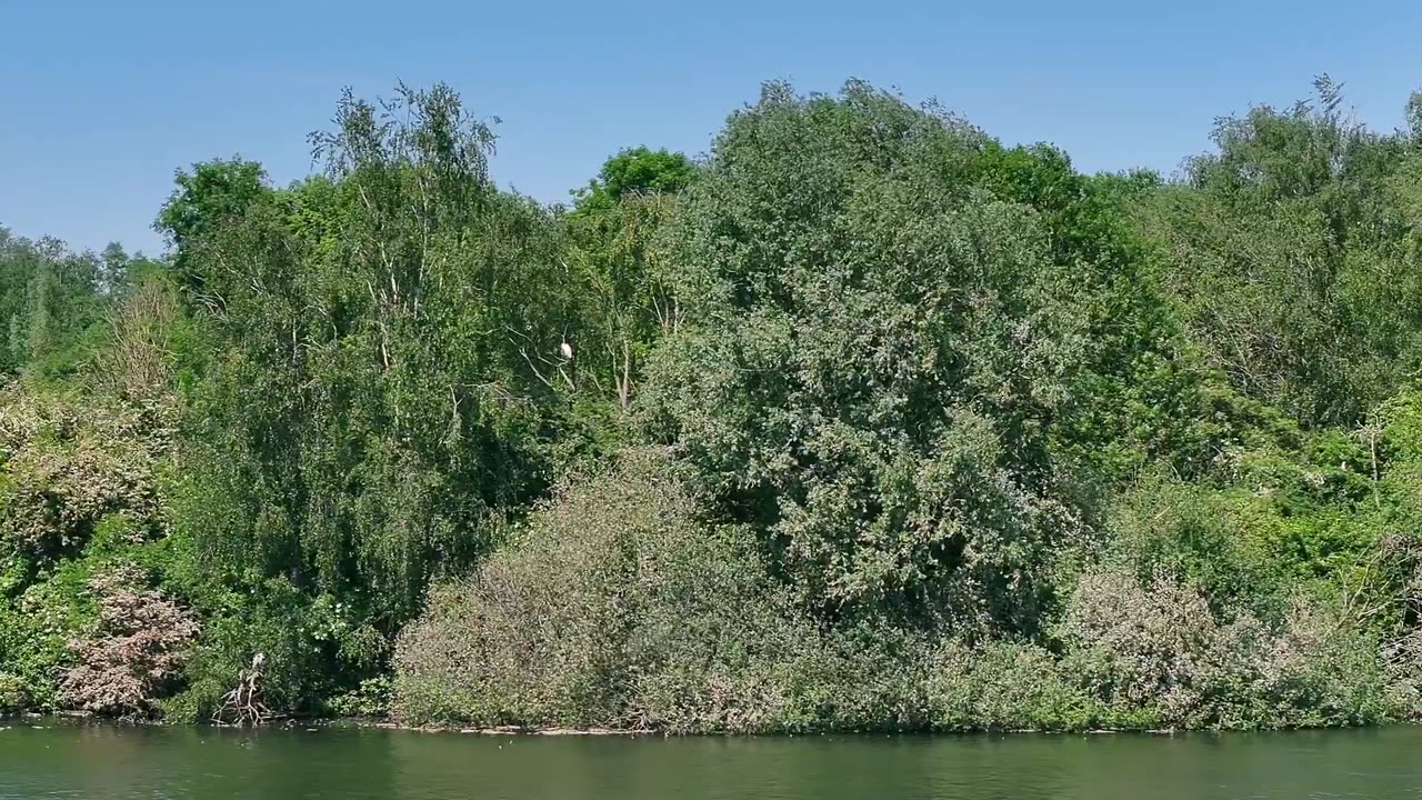 The Héron Regional Nature Reserve - Tour de France 2025