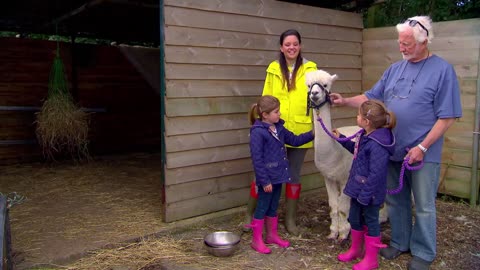 Mi Mascota y Yo - T02E14 - Alpacas